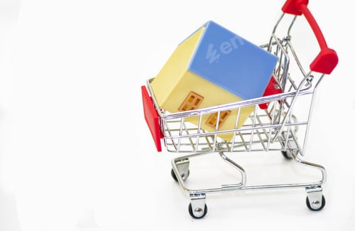 Preview: home model in shopping car, store