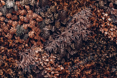 Preview: Close-up of vibrant green leaves with rich textures, forming a fresh, exotic botanical pattern.