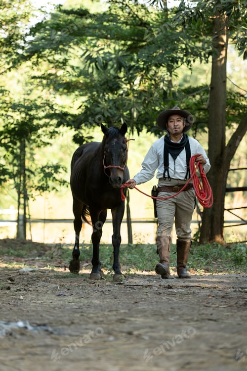 Preview: A cowboy standing beside his horse in warm evening light, in the horse training time