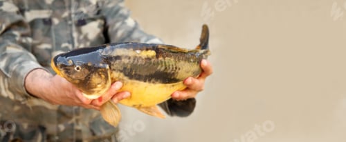 Preview: A man holding a large carp fish with both hands, showcasing a successful catch and fishing achieveme