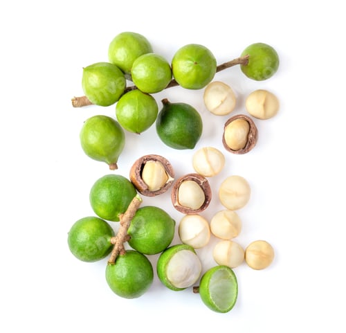Preview: macadamia nut isolated on white background. top view