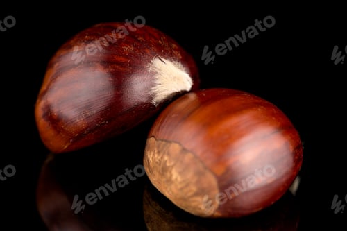 Preview: Chestnuts on a black reflective background