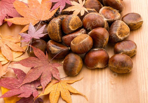 Preview: Chestnut and maple on wooden background