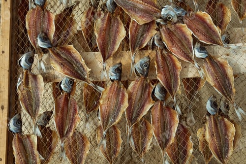 Preview: Dried fish in the open air. Traditional seafood drying in the fishing village of Nazare on the