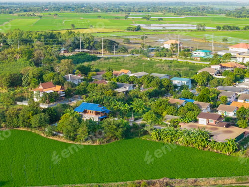 Preview: Aerial view of vibrant green rice fields