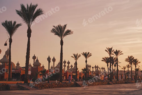 Preview: Silhouettes of palm trees and architecture with a mosques at sunset