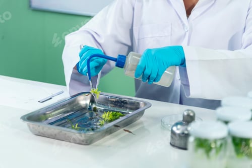 Preview: scientist look at microscope, science test tube analyse scientific sample in laboratory