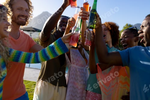 Preview: Happy diverse group of friends having party, drinking beer and making toast in garden