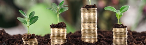 Preview: panoramic shot of golden coins with green leaves and soil, financial growth concept