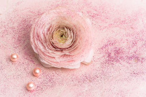 Preview: Beautiful pink rose, background