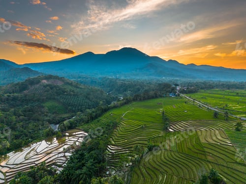 Preview: Beautiful morning view indonesia panorama landscape paddy fields