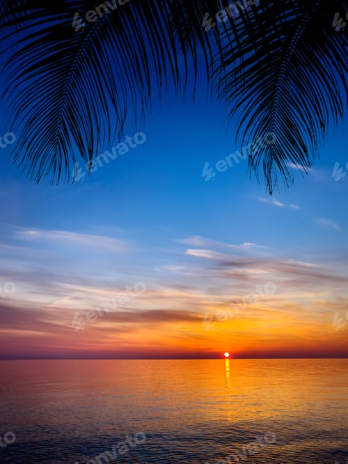 Preview: Silhouette of palm trees Beautiful sunset on the tropical sea beach
