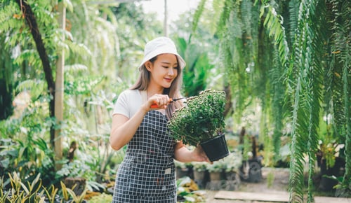 Preview: Woman Trimming Potted Plant Outdoors in Lush Garden