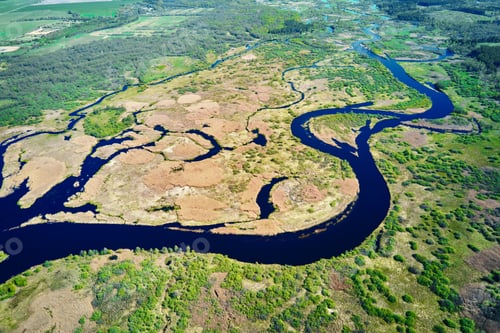 Preview: River floodplain landscape and green forest, aerial view