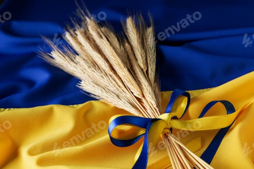 Preview: Spikelets with ribbons on Ukrainian flag, selective focus