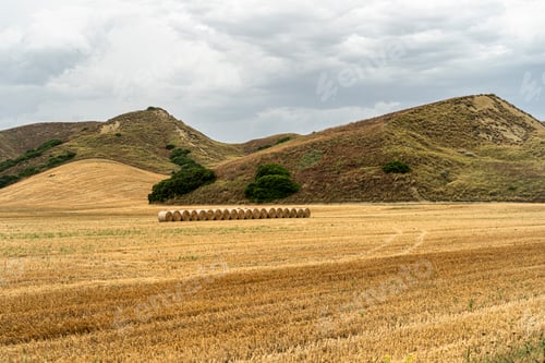 Preview: Rural landscape in Matera province at summer
