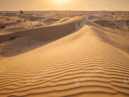 Preview: Landscape with Sand Dune, Liwa Oasis, Abu Dhabi, UAE