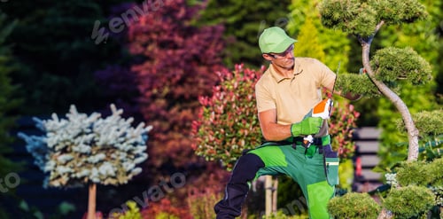 Preview: Professional Gardener Using Hedge Trimmer Power Tool