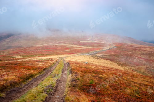 Preview: Beautiful Borzhava mountain range in golden autumn foggy landscape. Red leaves covered hills . Ukrai