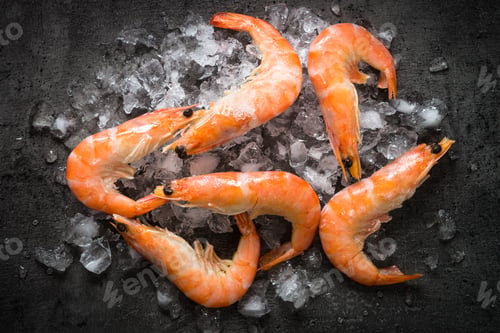 Preview: Fresh Prawns Shrimps in ice.
