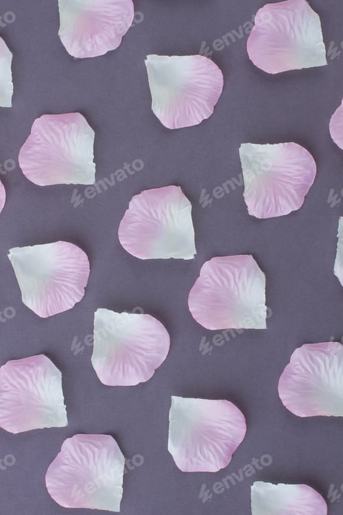 Preview: Pale Pink and White Rose Petal Pattern