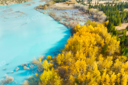 Preview: Aerial view. Fall forest in turquoise water. Abraham Lake, Banff National Park, Alberta, Canada.