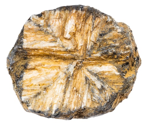 Preview: unpolished chiastolite mineral isolated on white