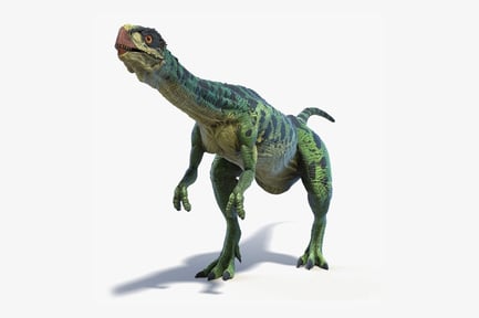 Preview: Animated Chilesaurus Dinosaur