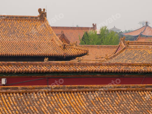 Preview: Forbidden City
