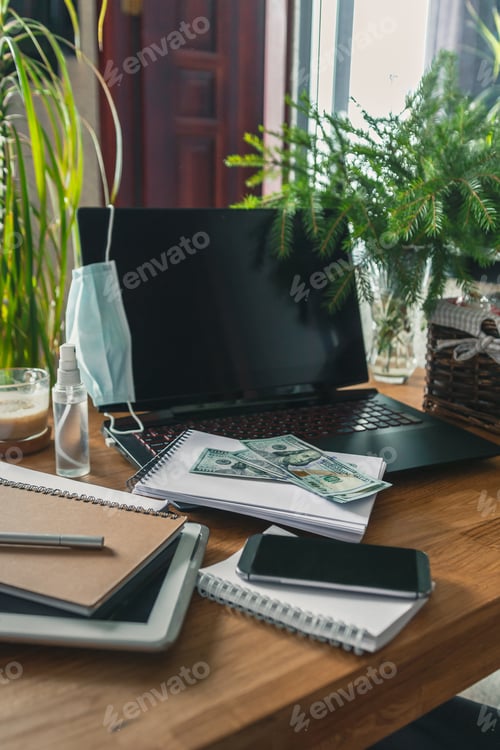 Preview: Home budget financial planning in crisis. Woman quarantined and working, planning home budget