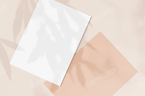 Preview: Post card Mockup. Natural overlay lighting shadows the leaves. 3d render