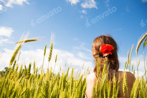 Preview: Beautiful girl is standing with her back in a white dress in a wheat field