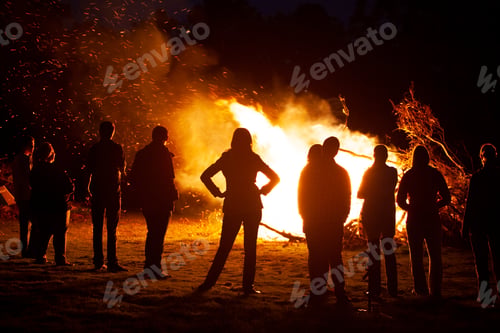 Preview: People standing watching a bonfire in the park in the dark night