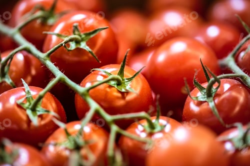 Preview: Delicious red tomatoes. Summer tray market agriculture farm full of organic vegetables