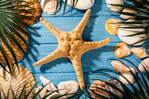 Preview: top view of seashells, starfish and palm leaves on wooden blue background