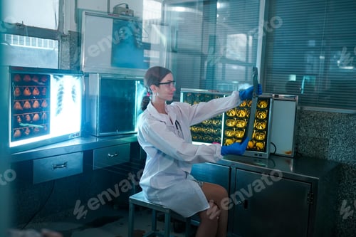 Preview: Portrait of young doctor checking X-Ray in hospital to make diagnosis