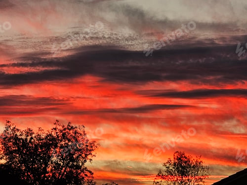 Vorschau: Flammender Himmel bei Sonnenuntergang über den Baumwipfeln!