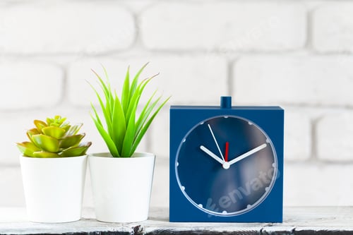 Preview: House plants in pots on white table at white brick wall with objects
