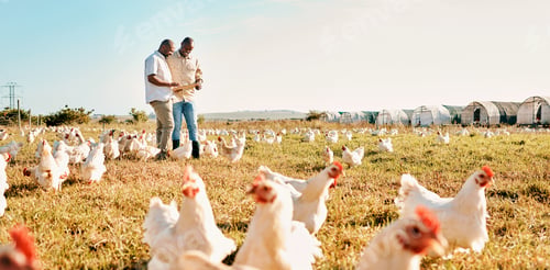Preview: Black people, clipboard and farm with chicken live stock in agriculture and outdoor resources. Happ