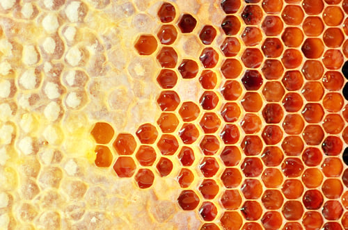 Preview: Honey in frame