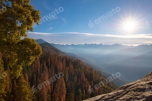 Preview: Sequoia National Park USA