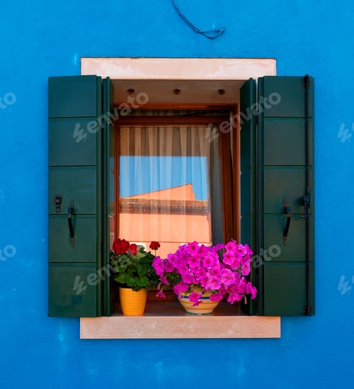 Preview: Window with flowers