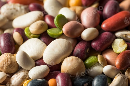 Preview: Dry Organic Assorted Bean Mixture