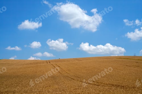 Preview: Rural landscape on Tortona hills, Piedmont, Italy