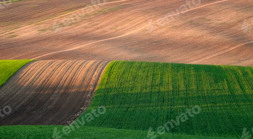 Preview: Gorgeous rural landscape with green sunny spring hills. South Moravia region, Czech Republic