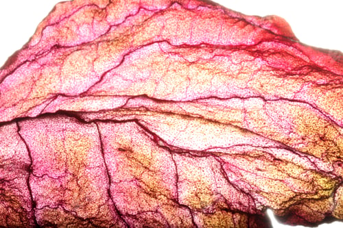 Preview: Dry Leaf Texture Abstract Background