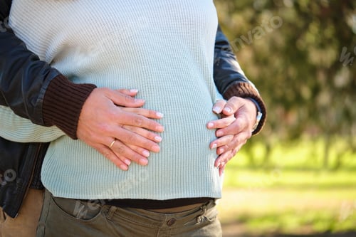 Preview: Unrecognizable couple embracing touching her pregnant belly in a park.