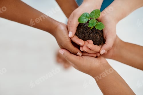Preview: Were responsible for the development and growth of our business