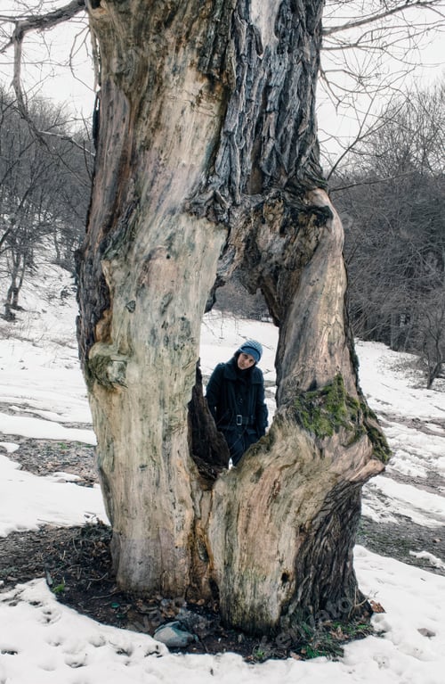 Preview: A woman looking through a hole in a tree