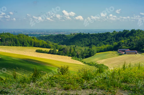 Preview: Rural landscape near Salsomaggiore and Fornovo, Parma, at springtime